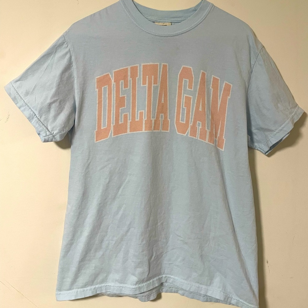 Comfort Colors Delta Gam (Delta Gamma sorority) t-shirt